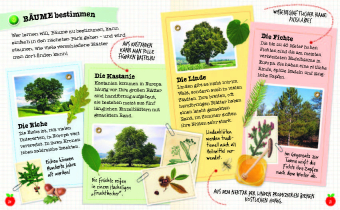 Flora & Leo, Die Geheimnisse des Waldes