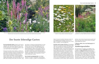Welche Pflanze passt wohin im Naturgarten?