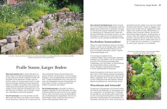 Welche Pflanze passt wohin im Naturgarten?