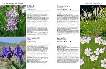 Welche Pflanze passt wohin im Naturgarten?