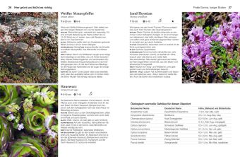 Welche Pflanze passt wohin im Naturgarten?