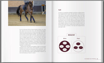 Reiten - leicht & logisch