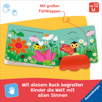 Wo bist du, kleiner Schmetterling?
