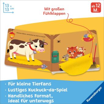 Wo bist du, kleines Küken?