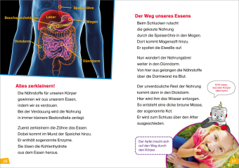 WAS IST WAS Erstes Lesen Band 14. Unser Körper
