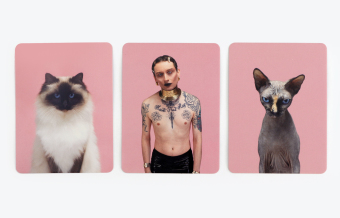 Siehst du aus wie deine Katze? (Kinderspiele)