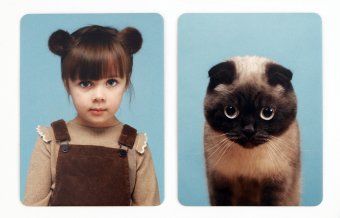 Siehst du aus wie deine Katze? (Kinderspiele)