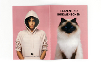 Siehst du aus wie deine Katze? (Kinderspiele)