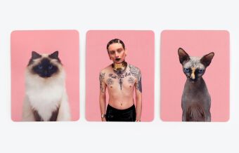 Siehst du aus wie deine Katze? (Kinderspiele)