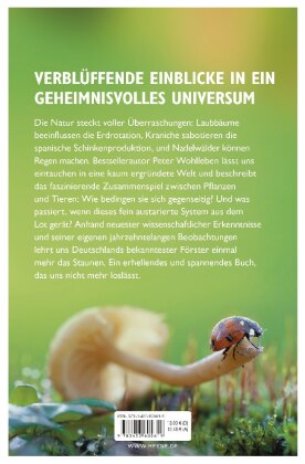 Das geheime Netzwerk der Natur