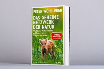 Das geheime Netzwerk der Natur