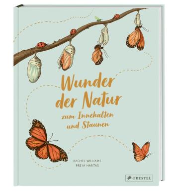 Wunder der Natur zum Innehalten und Staunen