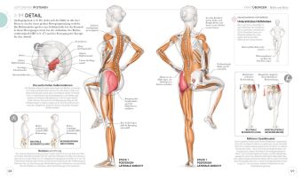 Lauftraining - Die Anatomie verstehen