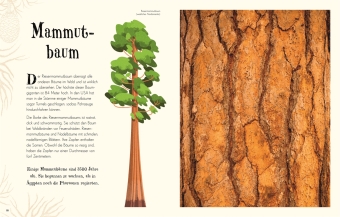 Wundervolle Welt der Natur 