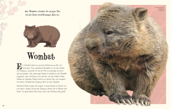 Wundervolle Welt der Natur 