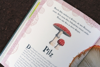 Wundervolle Welt der Natur 