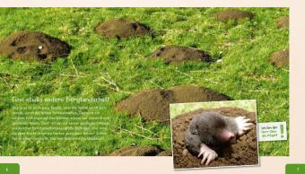 Meine große Tierbibliothek: Der Maulwurf