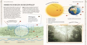 Verborgene Welt des Regenwaldes