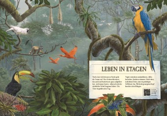 Verborgene Welt des Regenwaldes