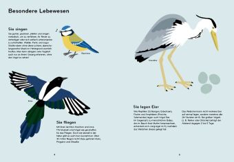 Ornithorama