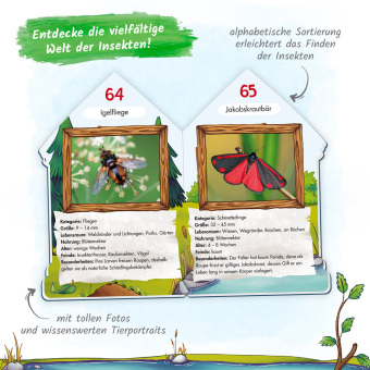 101 Heimische Insekten, die du kennen solltest
