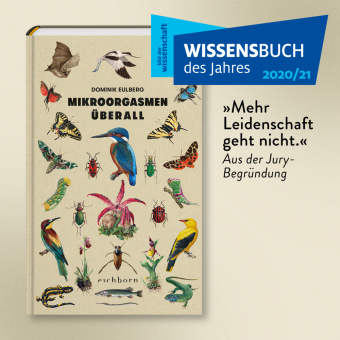 Mikroorgasmen überall