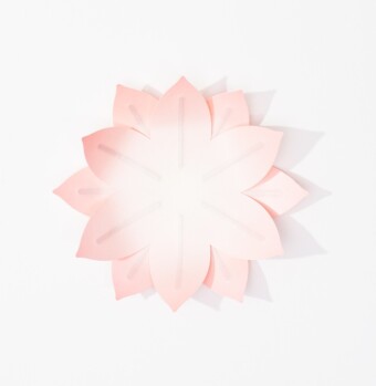 Flexible Hanji-Papierschale Wasserlilie Blassrosa