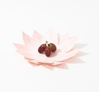Flexible Hanji-Papierschale Wasserlilie Blassrosa