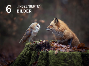 Tierische Momente fotografieren