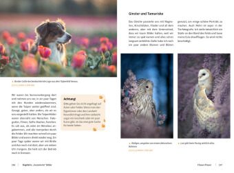 Tierische Momente fotografieren