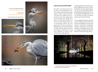 Tierische Momente fotografieren