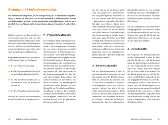 Tierische Momente fotografieren