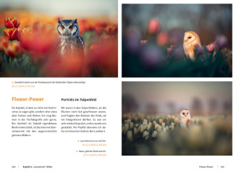 Tierische Momente fotografieren