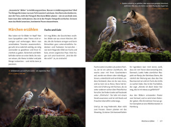 Tierische Momente fotografieren