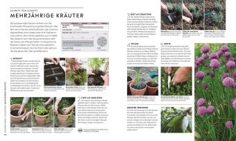 Kleiner Garten - große Ernte