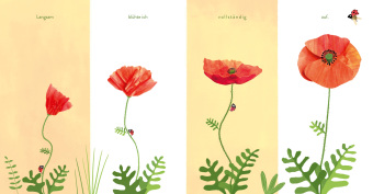 Kleine Blume, große Welt