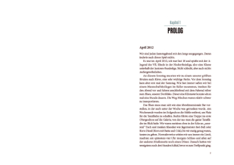 Träumen lohnt sich. Mein etwas anderer Weg zum Fußballprofi 