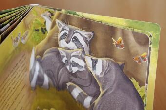 Der kleine Waschbär traut sich was