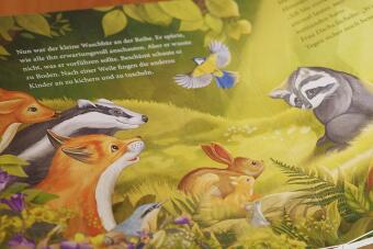 Der kleine Waschbär traut sich was