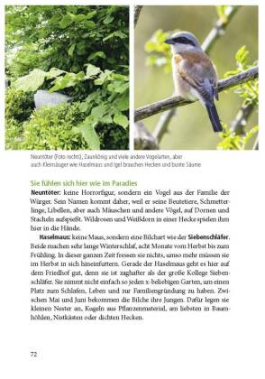 Der Friedhof lebt!
