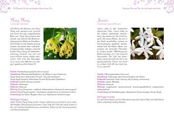 Leichter abnehmen mit Aromatherapie