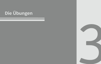 50 Workouts mit Fitnessband