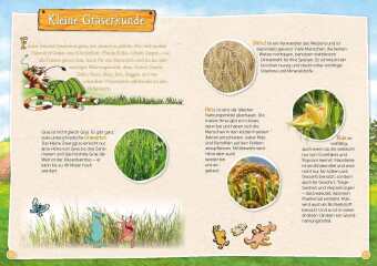Pettersson und Findus: Mein großes Naturbuch