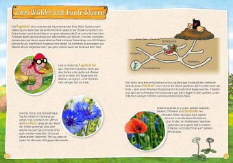 Pettersson und Findus: Mein großes Naturbuch