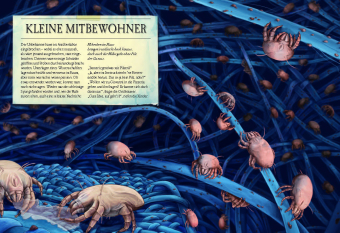 Verborgene Welt des Mikrokosmos