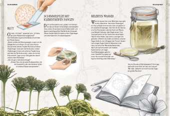 Verborgene Welt des Mikrokosmos