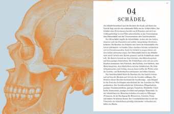 Gray's Anatomie Rätselbuch