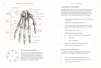 Gray's Anatomie Rätselbuch