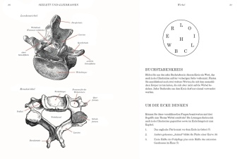 Gray's Anatomie Rätselbuch