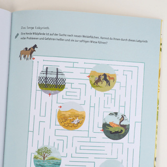 Evolution - Ein Mitmachbuch